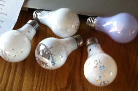 the bulbs